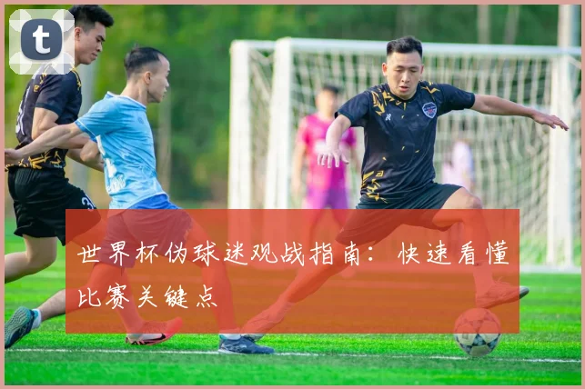 世界杯伪球迷观战指南:快速看懂比赛关键点